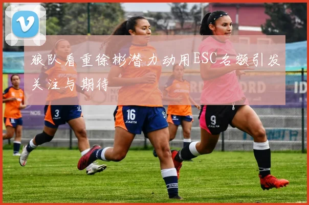 狼队看重徐彬潜力动用ESC名额引发关注与期待
